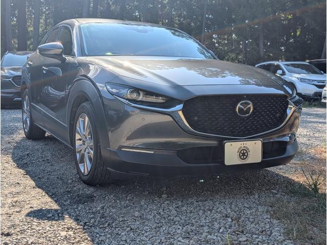 2020 MAZDA CX-30 XD L Package