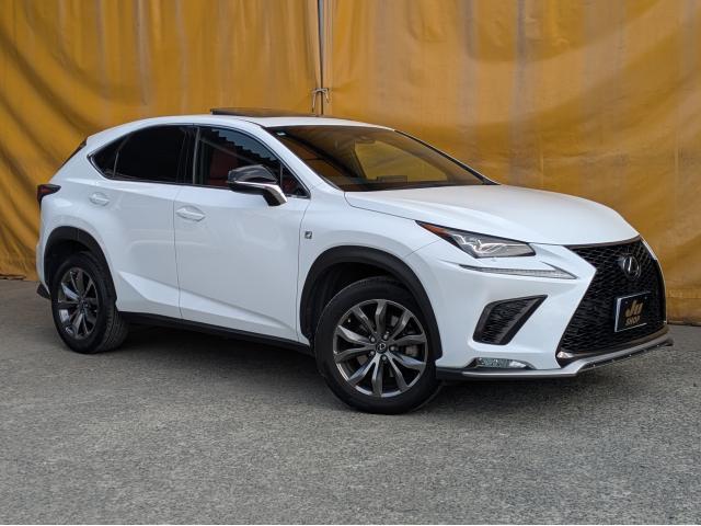 2018 NX 300 F Sport — Photo 1