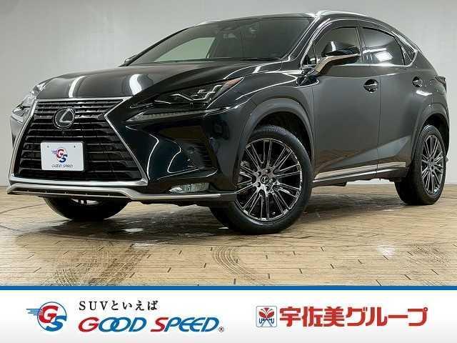 2020 NX NX300 Special Edition Spice & Chic — Photo 1