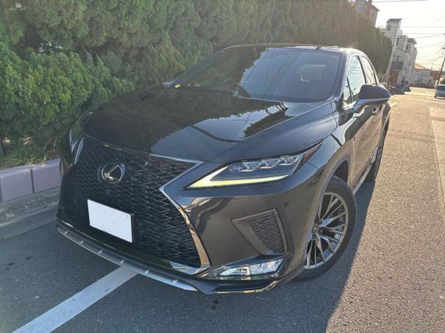 2020 RX RX300 F Sport — Photo 1