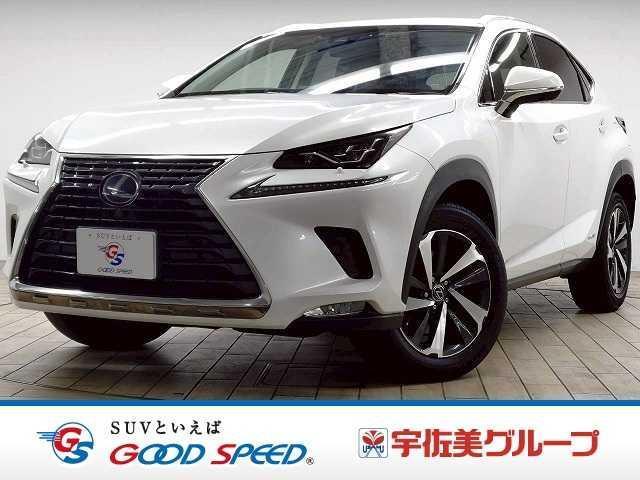 2018 NX Hybrid NX300h “I Package” — Photo 1
