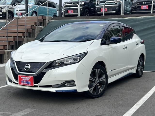 2018 Nissan Leaf G