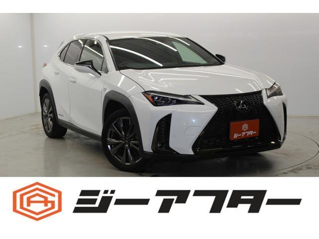2019 UX Hybrid UX250h F SPORT — Photo 1
