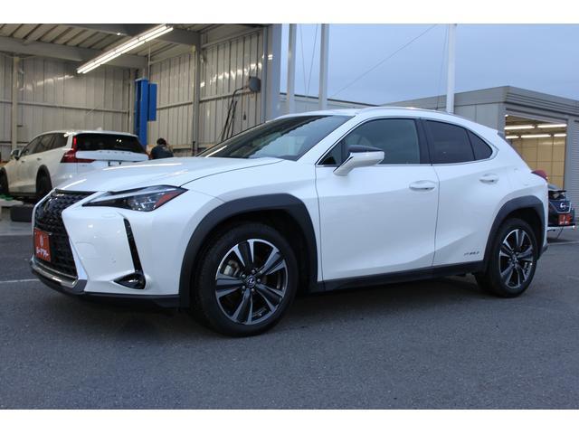 2019 UX Hybrid Hybrid UX250h Version C — Photo 1