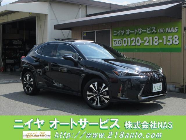 2021 UX Hybrid UX250h F SPORT Style Blue — Photo 1