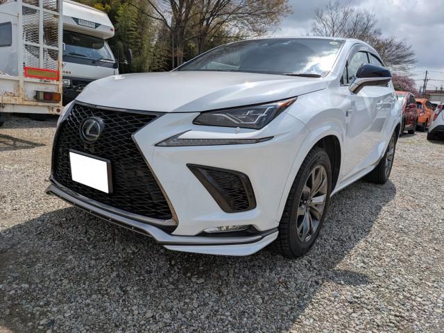 2019 NX Hybrid NX300h F SPORT — Photo 1