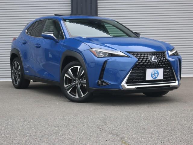 2018 UX Hybrid UX250h Version L Moonroof Drive Mode Select Panoramic View BSM HUD — Photo 1