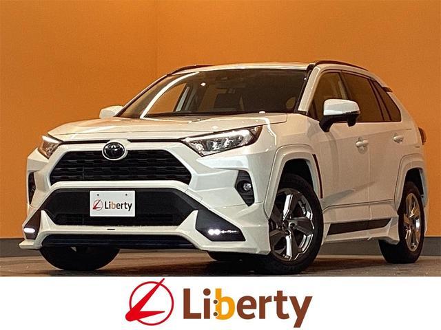 2019 Toyota RAV4 5D X — Photo 1