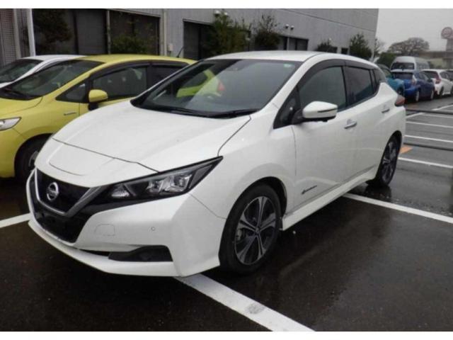 2019 Nissan Leaf X V Selection