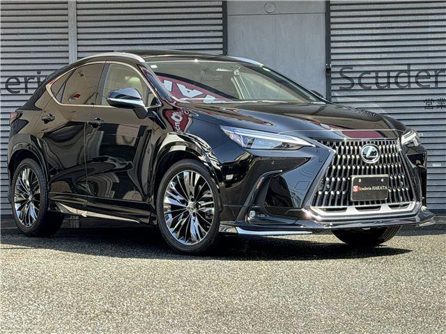 2021 NX NX250 Ver L Modellista Aero & 20-inch AW SR D Mirror — Photo 1