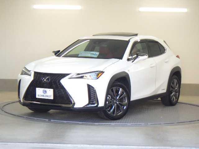 2019 UX Hybrid Hybrid UX250h F SPORT — Photo 1