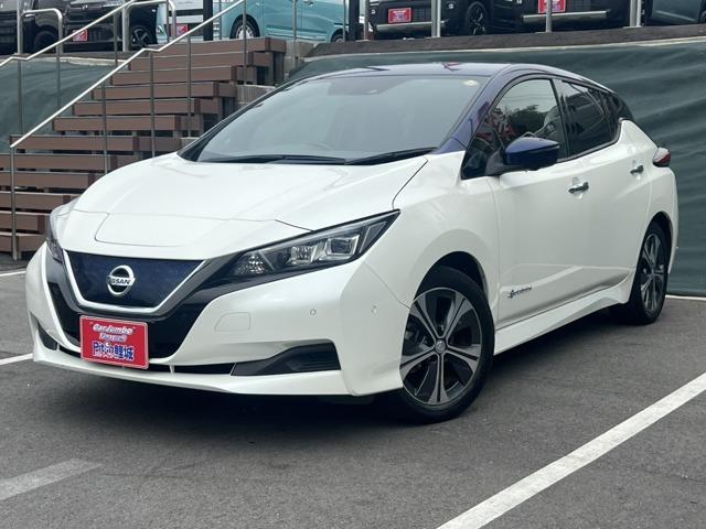 2017 Nissan Leaf X