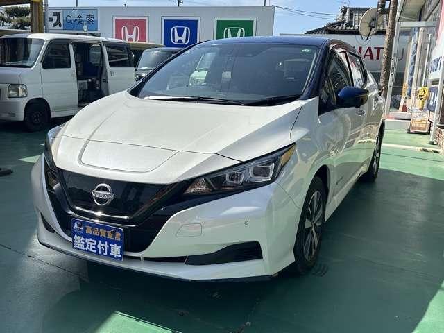 2021 Nissan Leaf e+X