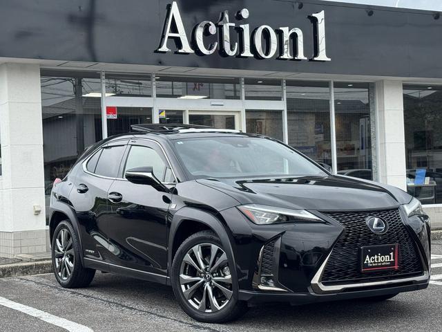 2019 UX Hybrid UX250h F SPORT — Photo 1