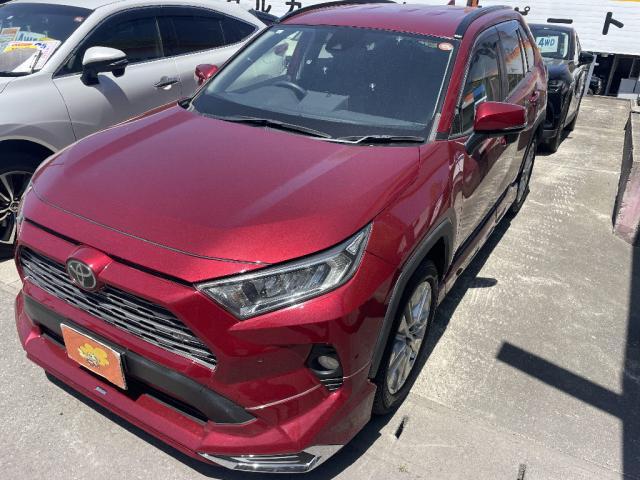 2019 Toyota RAV4 5D G Z Package