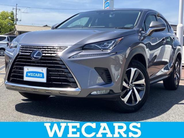 2019 Lexus NX Hybrid NX300h I Package