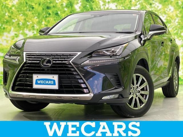 2018 Lexus NX Hybrid NX300h I Package