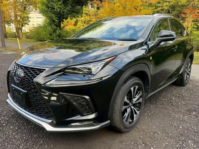 2019 NX Hybrid 300h F Sport — Photo 1