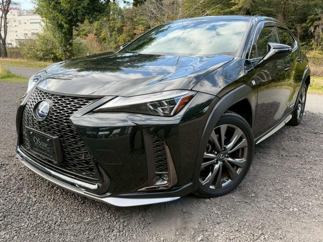 2019 UX Hybrid 250h F Sport — Photo 1
