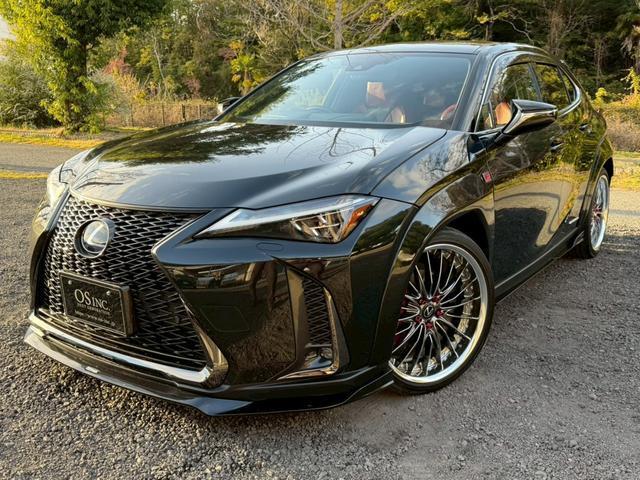 2020 UX Hybrid 250h F Sport — Photo 1