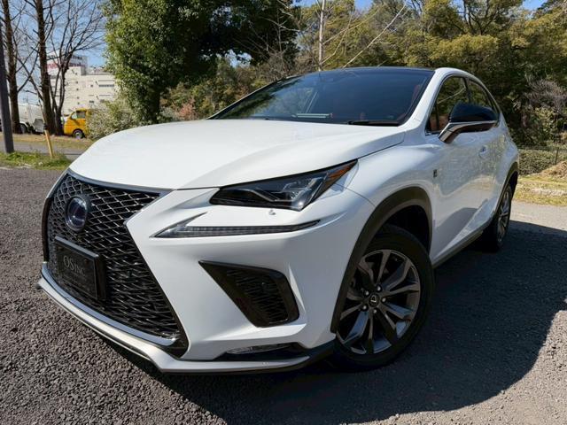 2018 NX Hybrid 300h F Sport — Photo 1