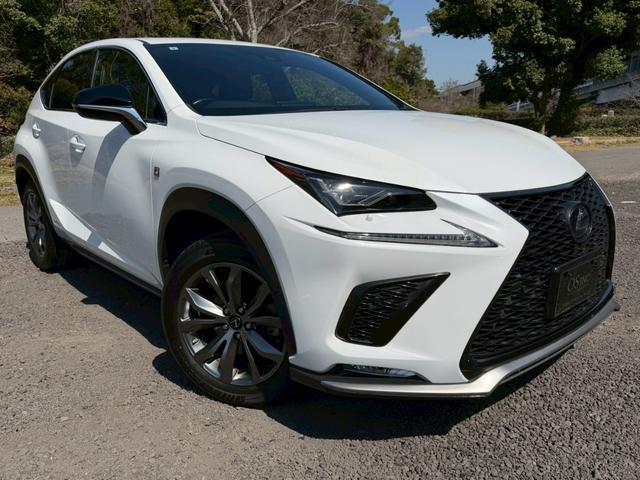 2019 NX Hybrid 300h F Sport — Photo 1