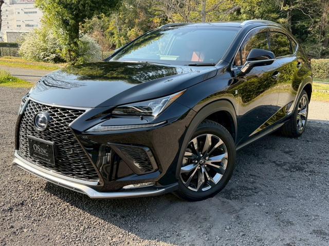 2018 NX Hybrid 300h F Sport — Photo 1