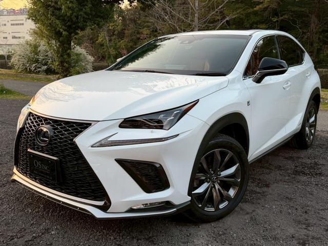 2019 NX Hybrid 300h F Sport — Photo 1