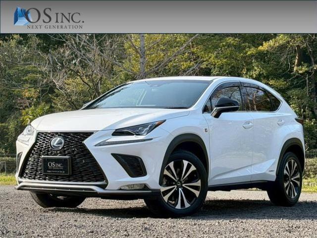 2018 NX Hybrid 300h F Sport — Photo 1