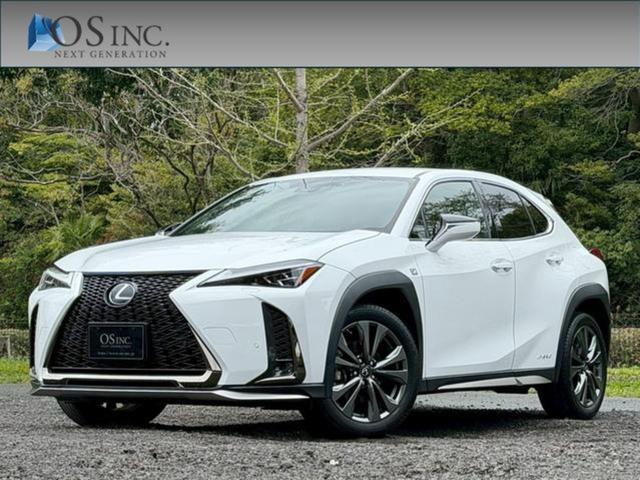 2019 UX Hybrid 250h F Sport — Photo 1