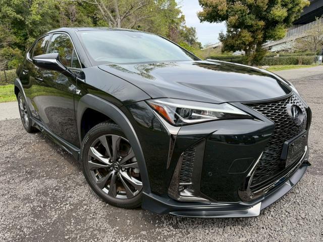 2019 UX Hybrid 250h F Sport — Photo 1