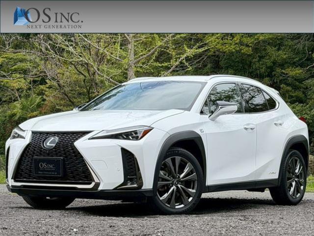 2019 UX Hybrid 250h F Sport — Photo 1