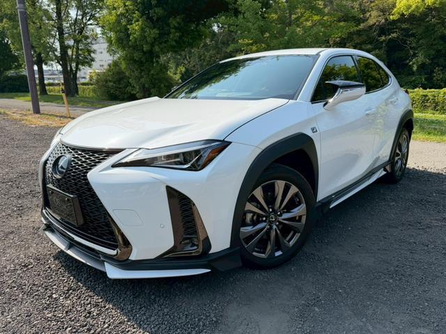 2019 UX Hybrid 250h F Sport — Photo 1