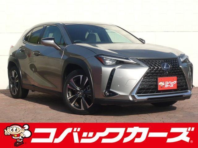 2019 Lexus UX Hybrid UX250h VERSION C
