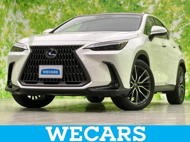 2023 Lexus NX NX250 Version L