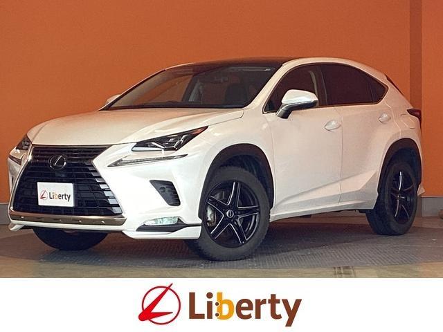 2019 NX NX300i Package — Photo 1