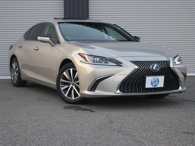 2019 ES ES300h Power Trunk BSM PKSB Sunroof Chateau Interior Synthetic Leather Seats — Photo 1