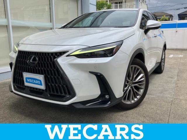 2023 Lexus NX NX250 Version L