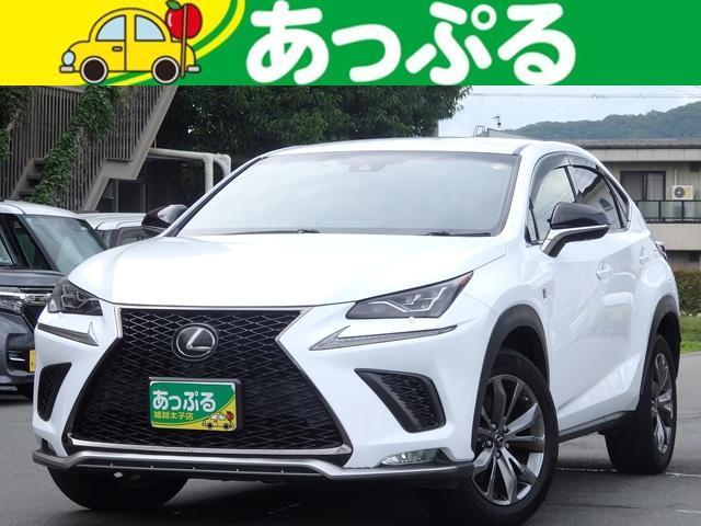 2017 NX NX300 F SPORT 4WD Genuine Navigation B Camera ETC Drive Recorder — Photo 1