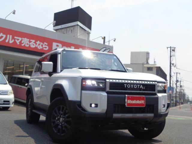 2025 Toyota LandCruiser 250 VX