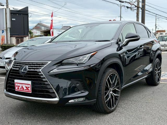 2019 NX Hybrid NX300h I Package — Photo 1