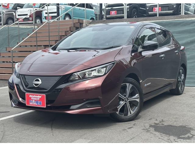 2022 Nissan Leaf X V Selection