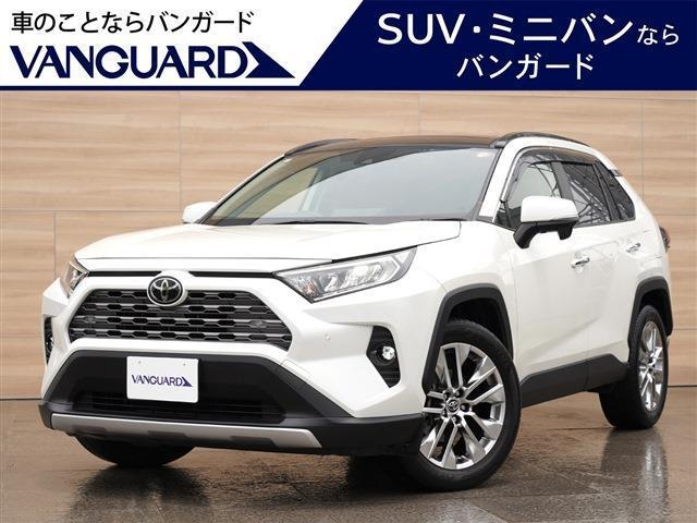 2019 Toyota RAV4 5D G Z Package