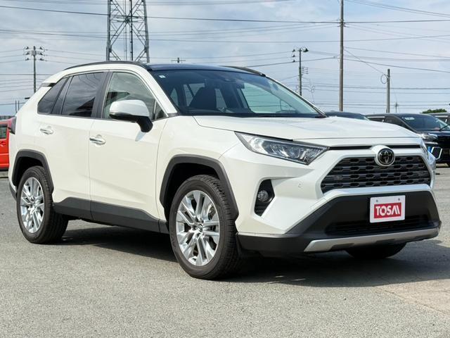 2019 Toyota RAV4 5D G Z Package