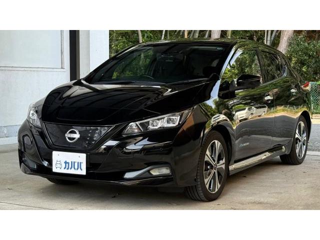 2022 Nissan Leaf X V Selection