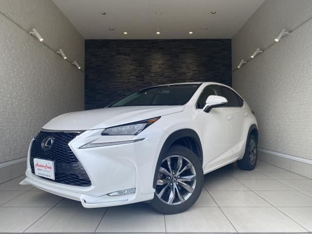2017 NX200t I Package — Photo 1