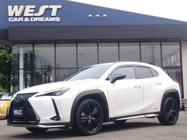 2021 UX Hybrid 250h Urban Elegance — Photo 1