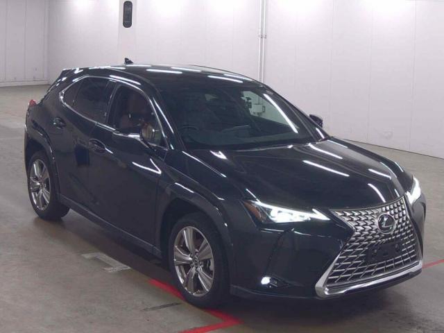 2023 UX Hybrid UX250h Special Edition Graceful Explorer — Photo 1