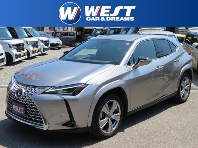 2022 UX Hybrid 250h Graceful Explorer — Photo 1