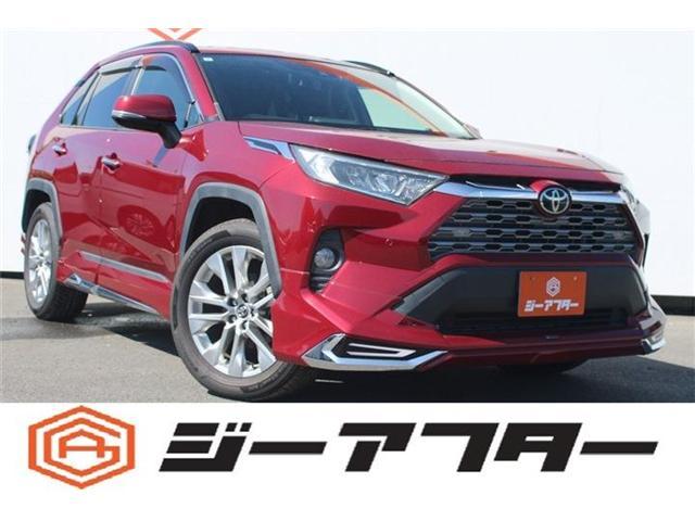 2019 Toyota RAV4 5D 2.0 G Z Package 4WD